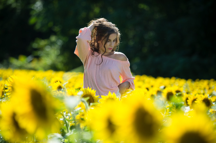 Glamour Session in Sunflowers
